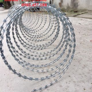 Thép gai hình dao giá rẻ phân phối toàn quốc