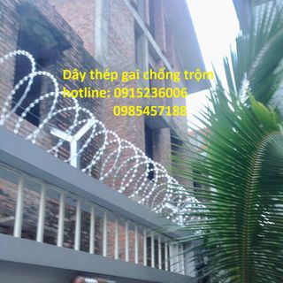 Thép gai hình dao giá rẻ phân phối toàn quốc