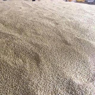 hạt sen khô giá tại nhà máy