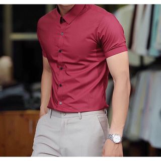 Sơ mi ngắn tay Đỏ Đô