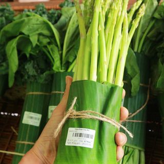 Lá Chuối Tươi 5kg (Tặng Thêm 500g) Gói Bánh Gói Nem Gói Hoa