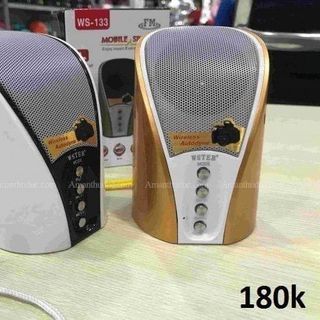 Loa Bluetooth Wster WS-133 hỗ trợ thẻ nhớ USB FM AUX