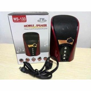 Loa Bluetooth Wster WS-133 hỗ trợ thẻ nhớ USB FM AUX