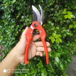 Kéo cắt cành - Đài Loan