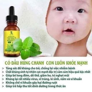 Dầu húng chanh