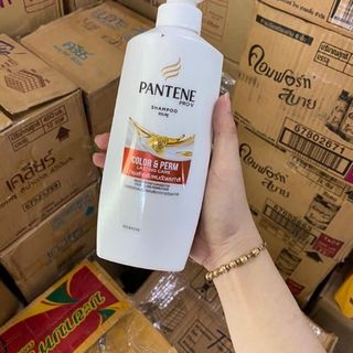 Dầu gội và xả pantene