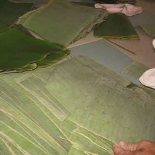 Lá Chuối Khô Dùng Gói Đồ