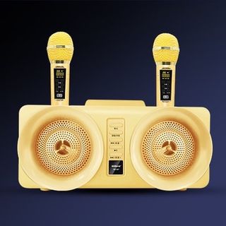 Loa Karaoke Bluetooth SD - 305 kèm 2 micro không dây "