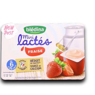 Sữa chua Pháp BLEDINA PHÁP 6m- Lốc 6 hũ*55g (Khay 8 lốc)