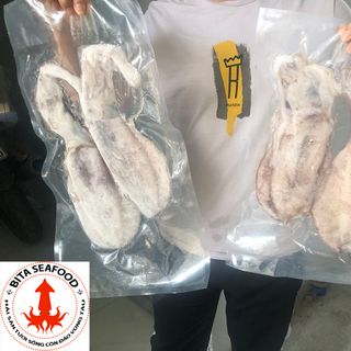 Mực Lá Câu Sống