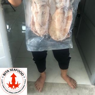 Mực Lá Câu Sống