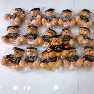 Gấu cử nhân 30cm