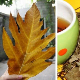 Sa kê Lá Anhizo 1kg Tặng Thêm 200g Tốt Cho Tim Mạch - đồ ăn