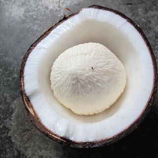 Mộng Dừa Giòn Giòn Xốp Xốp Ngọt Ngọt Anhizo 1kg Đồ Ăn - Ăn Vặt