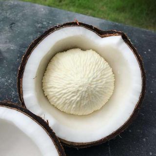 Mộng Dừa Giòn Giòn Xốp Xốp Ngọt Ngọt Anhizo 1kg Đồ Ăn - Ăn Vặt