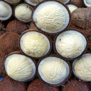 Mộng Dừa Giòn Giòn Xốp Xốp Ngọt Ngọt Anhizo 1kg Đồ Ăn - Ăn Vặt