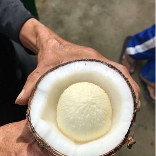 Mộng Dừa Giòn Giòn Xốp Xốp Ngọt Ngọt Anhizo 1kg Đồ Ăn - Ăn Vặt