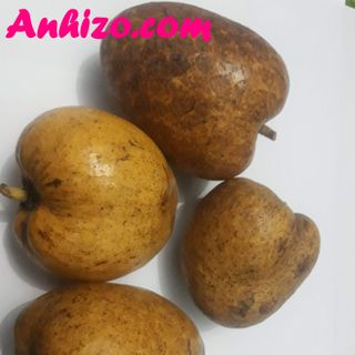 Trái Bình Bát Khô Anhizo