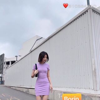 Đầm borip co giản, dày đẹp