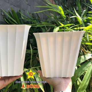 Chậu nhựa
