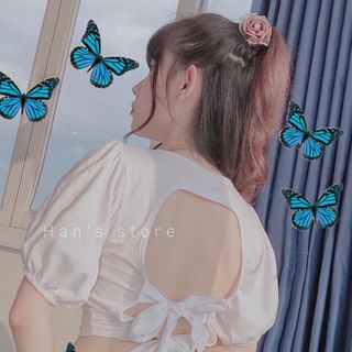 Áo kiểu thun gân dày đẹp