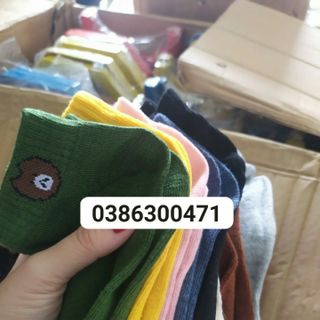 Tất gấu 10 đôi kèm túi