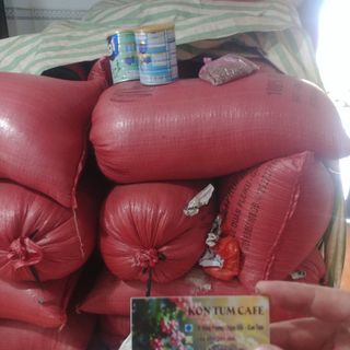 Cà phê nguyên chất, cà phê Robusta