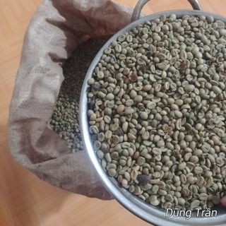 Cà phê nguyên chất, cà phê Robusta