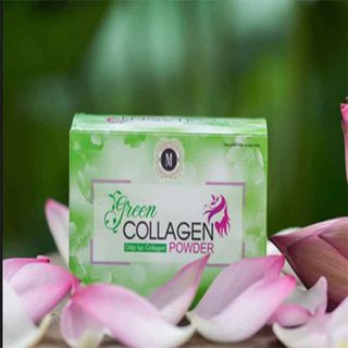 Diệp Lục Collagen giá sỉ