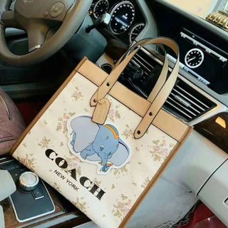 Túi COACH 2020