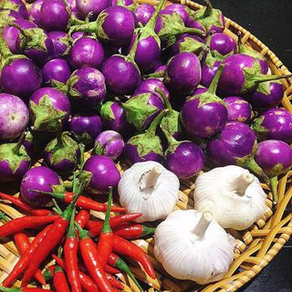 Hạt Giống Cà Pháo Tím