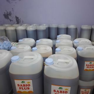 Men vi sinh EM gốc