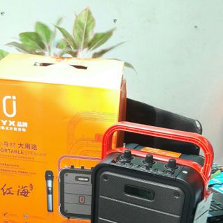 Loa bluetooth MS61 kèm micro không dây