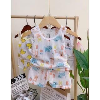 BỘ BA LỖ COTTON GIẤY
