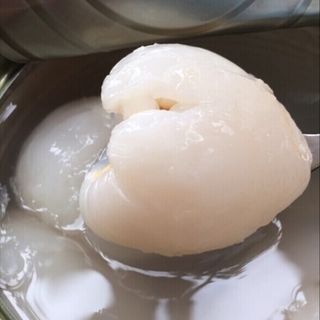 VẢI NGÂM NIF