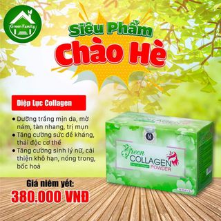 Diệp lục collagen giá sỉ