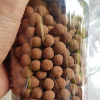 VIÊN MẦM CACAO NGUYÊN CHẤT