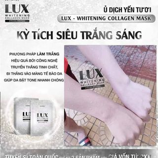 Ủ trắng yến tươi collagen