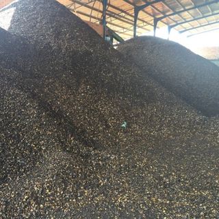 BÃ VỎ HẠT ĐIỀU ĐÃ ÉP DẦU - CHẤT ĐỐT CÔNG NGHIỆP