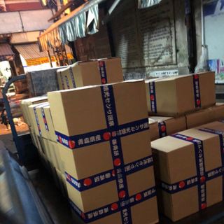 Băng keo đa năng 1 tất