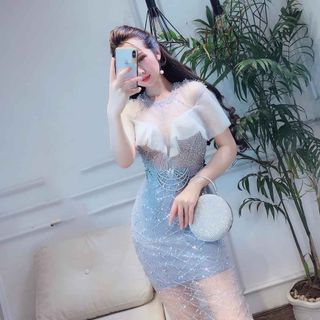 Đầm body kim sa phối lưới Cao Cấp - MS155V