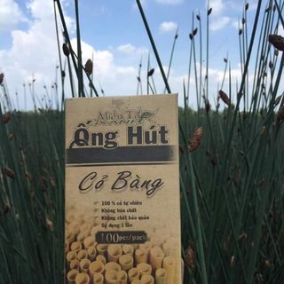 Ống hút cỏ bàng