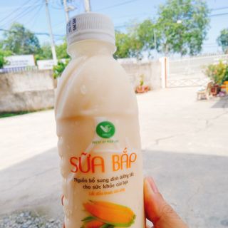 Bánh tráng chấm tây ninh và sữa bắp, hạt sen