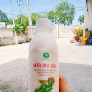 Bánh tráng chấm tây ninh và sữa bắp, hạt sen