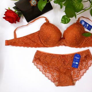 SÉT BỘ REN BOYA MỚI