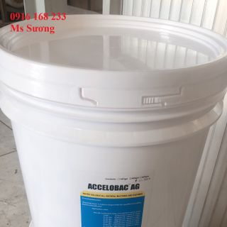 ACCELOBAC AG - VI SINH XỬ LÝ ĐÁY AO