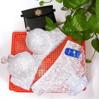 SÉT BỘ REN BOYA MỚI