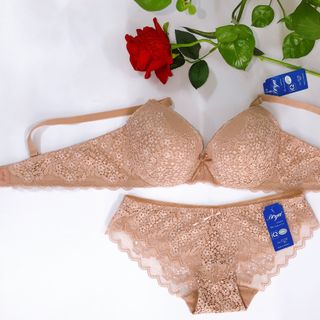 SÉT BỘ REN BOYA MỚI