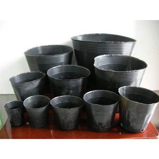 Túi bầu ươm cây