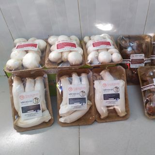 Nấm đùi gà Việt Nam